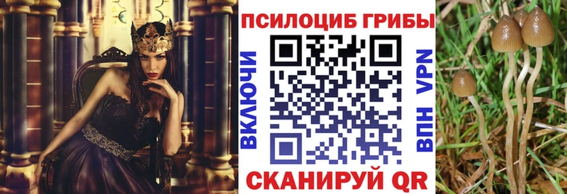 hydra ссылки  Сызрань  Галлюциногенные грибы Magic Shrooms 